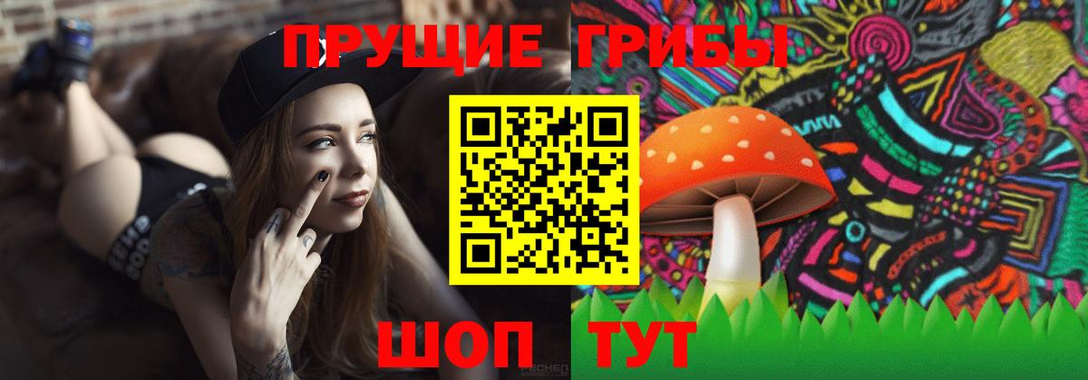 Крымск  Галлюциногенные грибы GOLDEN TEACHER  Псилоцибиновые грибы GOLDEN TEACHER  Вход с VPN 